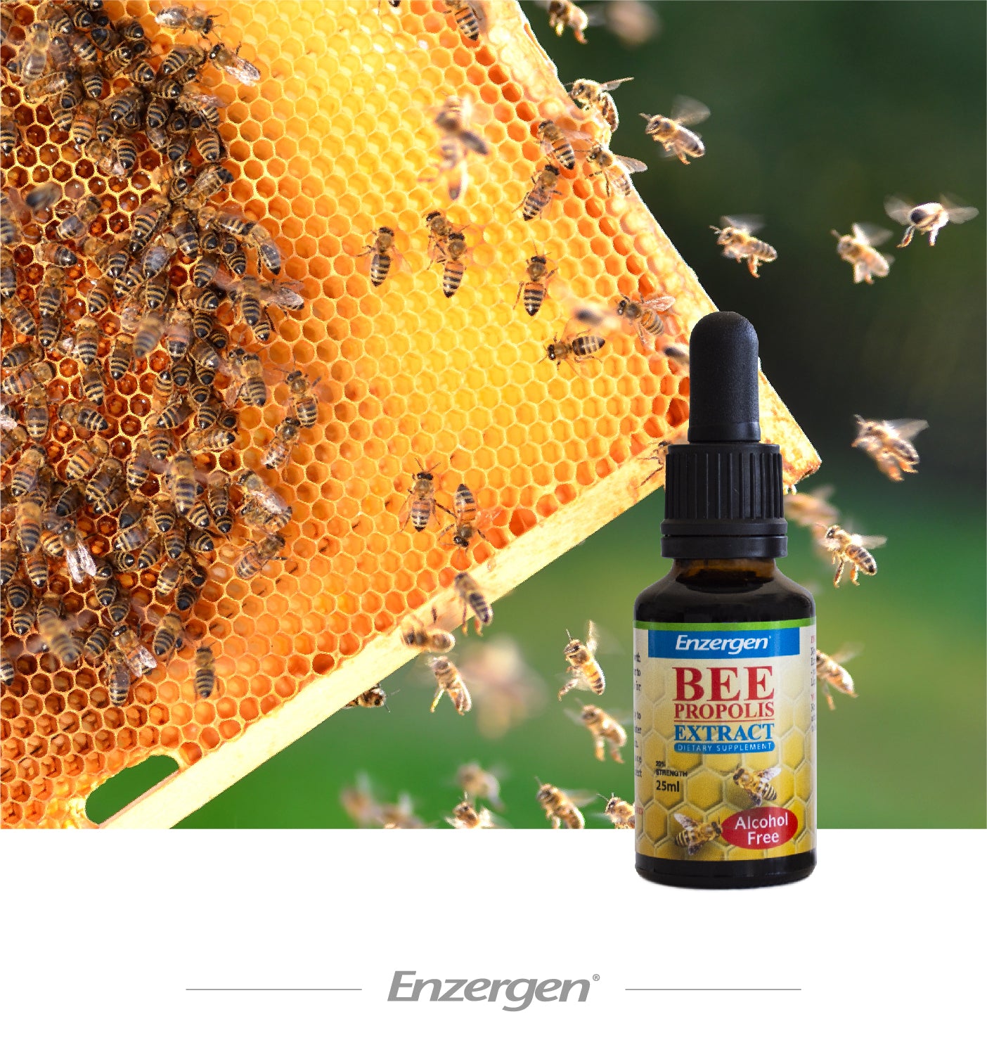Bee Propolis Extract (Alcohol Free) - Kiwicorp New Zealand